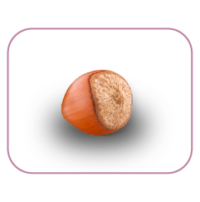 Armonico_hazelnut