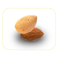 Gentile_almond