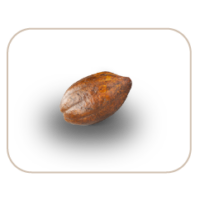Intenso_cocoa